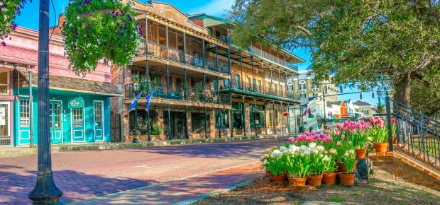 Spring PROMOTION FOR GROUPS